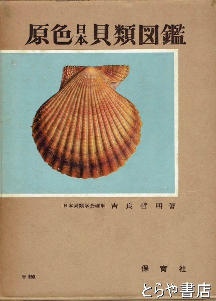 超安い of 『原色日本貝類図鑑』 日本貝類学会理事・吉良哲明 著 本